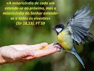«A misericórdia de cada um
estende-se ao próximo, mas a
misericórdia do Senhor estende-
se a todos os viventes»
(Sir 18,13). FT 59
 