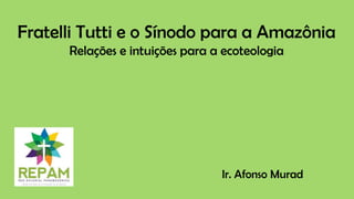 Fratelli Tutti e o Sínodo para a Amazônia
Relações e intuições para a ecoteologia
Ir. Afonso Murad
 