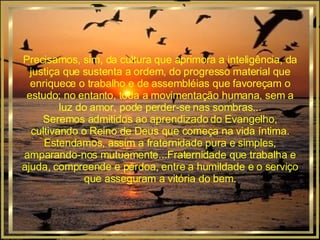 Precisamos, sim, da cultura que aprimora a inteligência, da justiça que sustenta a ordem, do progresso material que enriquece o trabalho e de assembléias que favoreçam o estudo; no entanto, toda a movimentação humana, sem a luz do amor, pode perder-se nas sombras... Seremos admitidos ao aprendizado do Evangelho, cultivando o Reino de Deus que começa na vida íntima. Estendamos, assim a fraternidade pura e simples, amparando-nos mutuamente...Fraternidade que trabalha e ajuda, compreende e perdoa, entre a humildade e o serviço que asseguram a vitória do bem. 