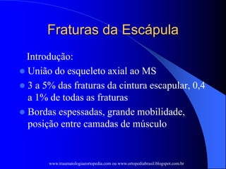 Fraturas da Escápula
Introdução:
 União do esqueleto axial ao MS
 3 a 5% das fraturas da cintura escapular, 0,4
a 1% de todas as fraturas
 Bordas espessadas, grande mobilidade,
posição entre camadas de músculo
www.traumatologiaeortopedia.com ou www.ortopediabrasil.blogspot.com.br
 