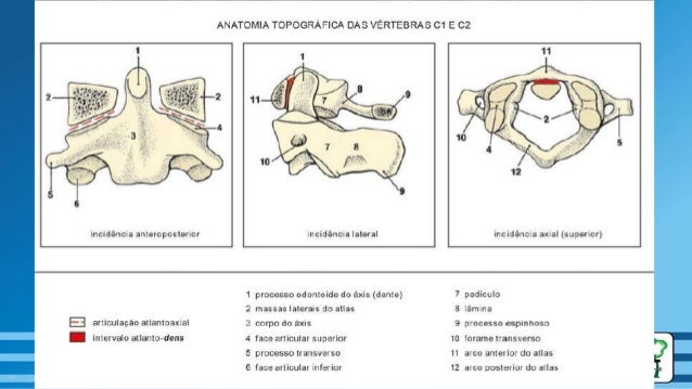 Exame da coluna cervical