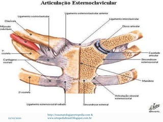 22/02/2020
http://traumatologiaeortopedia.com &
www.ortopediabrasil.blogspot.com.br
 