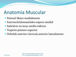 Anatomia Muscular
 Peitoral Maior medialmente
 Esternocleidomastóideo súpero-medial
 Subclávio no terço médio inferior
 Trapézio póstero-superior
 Deltóide anterior clavícula anterior lateralmetne
22/02/2020
http://traumatologiaeortopedia.com &
www.ortopediabrasil.blogspot.com.br
 