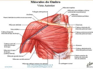 22/02/2020
http://traumatologiaeortopedia.com &
www.ortopediabrasil.blogspot.com.br
 