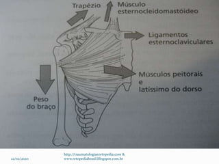 22/02/2020
http://traumatologiaeortopedia.com &
www.ortopediabrasil.blogspot.com.br
 