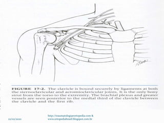 22/02/2020
http://traumatologiaeortopedia.com &
www.ortopediabrasil.blogspot.com.br
 