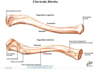 22/02/2020
http://traumatologiaeortopedia.com &
www.ortopediabrasil.blogspot.com.br
 