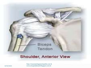 22/02/2020
http://traumatologiaeortopedia.com &
www.ortopediabrasil.blogspot.com.br
 