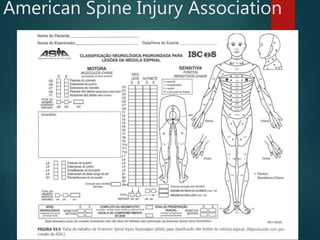American Spine Injury Association
 