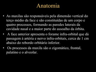 Anatomia
• As maxilas são responsáveis pela dimensão vertical do
terço médio da face e são constituídas de um corpo e
quatro processos, formando as paredes laterais da
cavidade nasal e a maior parte do assoalho da órbita.
• A face anterior apresenta o forame infra-orbital que dá
passagem à artéria e nervo infra-orbitais, cerca de 1 cm
abaixo do rebordo orbitário inferior.
• Os processos da maxila são o zigomático, frontal,
palatino e o alveolar.
 