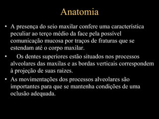 • A presença do seio maxilar confere uma característica
peculiar ao terço médio da face pela possível
comunicação mucosa por traços de fraturas que se
estendam até o corpo maxilar.
• Os dentes superiores estão situados nos processos
alveolares das maxilas e as bordas verticais correspondem
à projeção de suas raízes.
• As movimentações dos processos alveolares são
importantes para que se mantenha condições de uma
oclusão adequada.
Anatomia
 