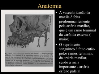 Anatomia
• A vascularização da
maxila é feita
predominantemente
pela artéria maxilar,
que é um ramo terminal
da carótida externa (
maior)
• O suprimento
sanguíneo é feito então
pelos ramos terminais
da artéria maxilar,
sendo a mais
importante a artéria
esfeno palatal
 