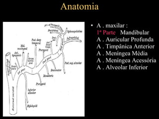 Anatomia
• A . maxilar :
1ª Parte Mandibular
A . Auricular Profunda
A . Timpânica Anterior
A . Meníngea Média
A . Meníngea Acessória
A . Alveolar Inferior
 