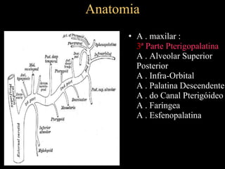 Anatomia
• A . maxilar :
3ª Parte Pterigopalatina
A . Alveolar Superior
Posterior
A . Infra-Orbital
A . Palatina Descendente
A . do Canal Pterigóideo
A . Faríngea
A . Esfenopalatina
 