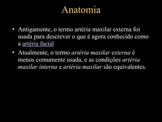 Anatomia
• Antigamente, o termo artéria maxilar externa foi
usada para descrever o que é agora conhecido como
a artéria facial
• Atualmente, o termo artéria maxilar externa é
menos comumente usada, e as condições artéria
maxilar interna e artéria maxilar são equivalentes.
 