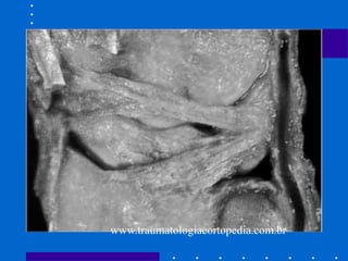 www.traumatologiaeortopedia.com.br
 