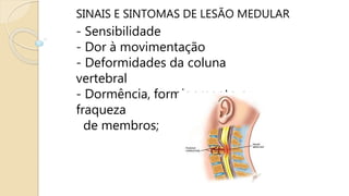 SINAIS E SINTOMAS DE LESÃO MEDULAR
- Sensibilidade
- Dor à movimentação
- Deformidades da coluna
vertebral
- Dormência, formigamento ou
fraqueza
de membros;
 