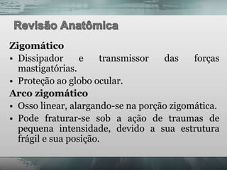 Zigomático
• Dissipador      e    transmissor  das    forças
  mastigatórias.
• Proteção ao globo ocular.
Arco zigomático
• Osso linear, alargando-se na porção zigomática.
• Pode fraturar-se sob a ação de traumas de
  pequena intensidade, devido a sua estrutura
  frágil e sua posição.
 