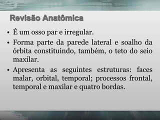 • É um osso par e irregular.
• Forma parte da parede lateral e soalho da
  órbita constituindo, também, o teto do seio
  maxilar.
• Apresenta as seguintes estruturas: faces
  malar, orbital, temporal; processos frontal,
  temporal e maxilar e quatro bordas.
 
