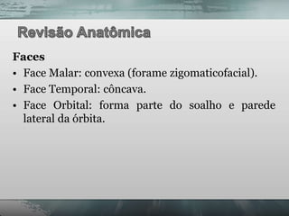 Faces
• Face Malar: convexa (forame zigomaticofacial).
• Face Temporal: côncava.
• Face Orbital: forma parte do soalho e parede
  lateral da órbita.
 