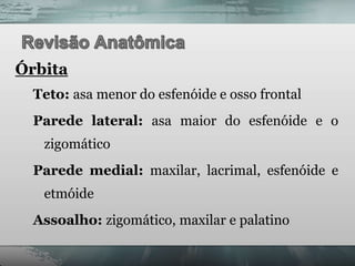 Órbita
  Teto: asa menor do esfenóide e osso frontal
  Parede lateral: asa maior do esfenóide e o
   zigomático
  Parede medial: maxilar, lacrimal, esfenóide e
   etmóide
  Assoalho: zigomático, maxilar e palatino
 