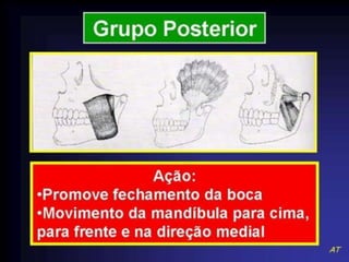 Classificacao kazanjian e converse deals