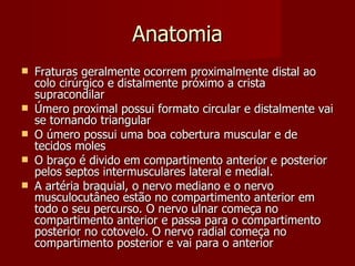 Anatomia Fraturas geralmente ocorrem proximalmente distal ao colo cirúrgico e distalmente próximo a crista supracondilar Úmero proximal possui formato circular e distalmente vai se tornando triangular O úmero possui uma boa cobertura muscular e de tecidos moles O braço é divido em compartimento anterior e posterior pelos septos intermusculares lateral e medial. A artéria braquial, o nervo mediano e o nervo musculocutâneo estão no compartimento anterior em todo o seu percurso. O nervo ulnar começa no compartimento anterior e passa para o compartimento posterior no cotovelo. O nervo radial começa no compartimento posterior e vai para o anterior 