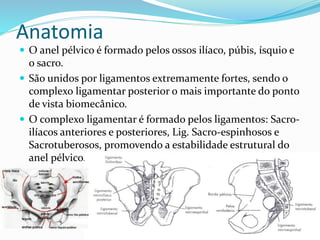 Anatomia
 O anel pélvico é formado pelos ossos ilíaco, púbis, ísquio e
o sacro.
 São unidos por ligamentos extremamente fortes, sendo o
complexo ligamentar posterior o mais importante do ponto
de vista biomecânico.
 O complexo ligamentar é formado pelos ligamentos: Sacro-
ilíacos anteriores e posteriores, Lig. Sacro-espinhosos e
Sacrotuberosos, promovendo a estabilidade estrutural do
anel pélvico.
 