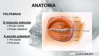 ANATOMIA
PÁLPEBRAS
O músculo orbicular
➢Porção orbital
➢Porção palpebral
A porção palpebral
➢ Pré-septal
➢Pré-tarsal
ELLIS III; ZIDE,2016
 