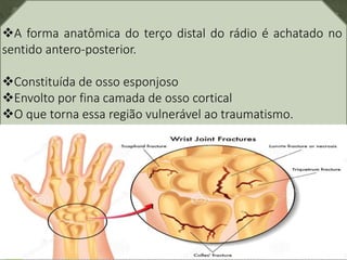 A forma anatômica do terço distal do rádio é achatado no
sentido antero-posterior.
Constituída de osso esponjoso
Envolto por fina camada de osso cortical
O que torna essa região vulnerável ao traumatismo.
 