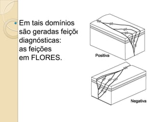    Em tais domínios
    são geradas feições
    diagnósticas:
    as feições
    em FLORES.
 