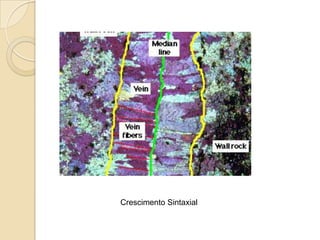 Crescimento Sintaxial
 