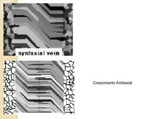 Crescimento Antitaxial
 