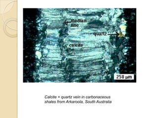 Calcite + quartz vein in carbonaceous
shales from Arkaroola, South Australia
 