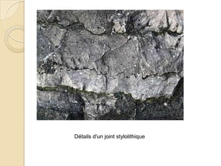 Détails d'un joint stylolithique
 