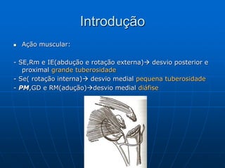 Introdução
 Ação muscular:
- SE,Rm e IE(abdução e rotação externa) desvio posterior e
proximal grande tuberosidade
- Se( rotação interna) desvio medial pequena tuberosidade
- PM,GD e RM(adução)desvio medial diáfise
 