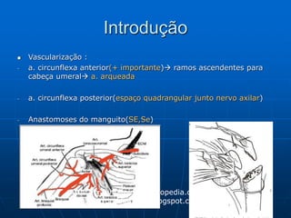 Introdução
 Vascularização :
- a. circunflexa anterior(+ importante) ramos ascendentes para
cabeça umeral a. arqueada
- a. circunflexa posterior(espaço quadrangular junto nervo axilar)
- Anastomoses do manguito(SE,Se)
http://traumatologiaeortopedia.com/
http://ortopediabrasil.blogspot.com.br/
 