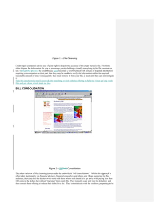 Fraud   An International Perspective