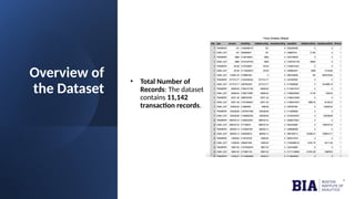 Overview of
the Dataset
• Total Number of
Records: The dataset
contains 11,142
transaction records.
 