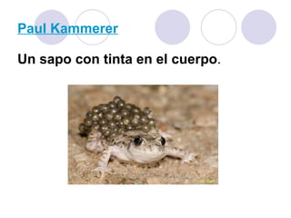 Paul Kammerer Un sapo con tinta en el cuerpo . 