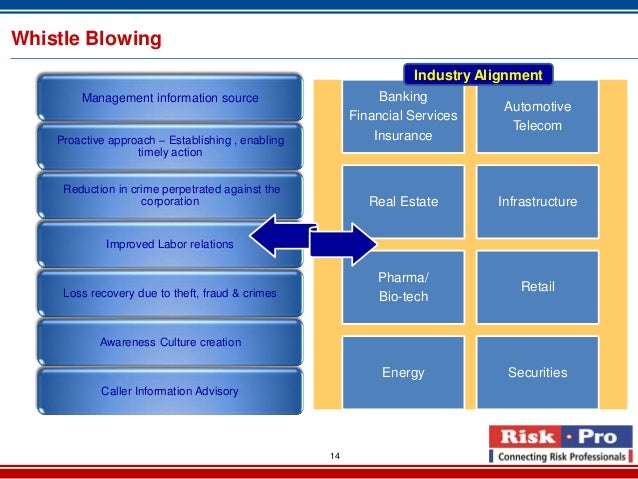 Fraud risk services 2013