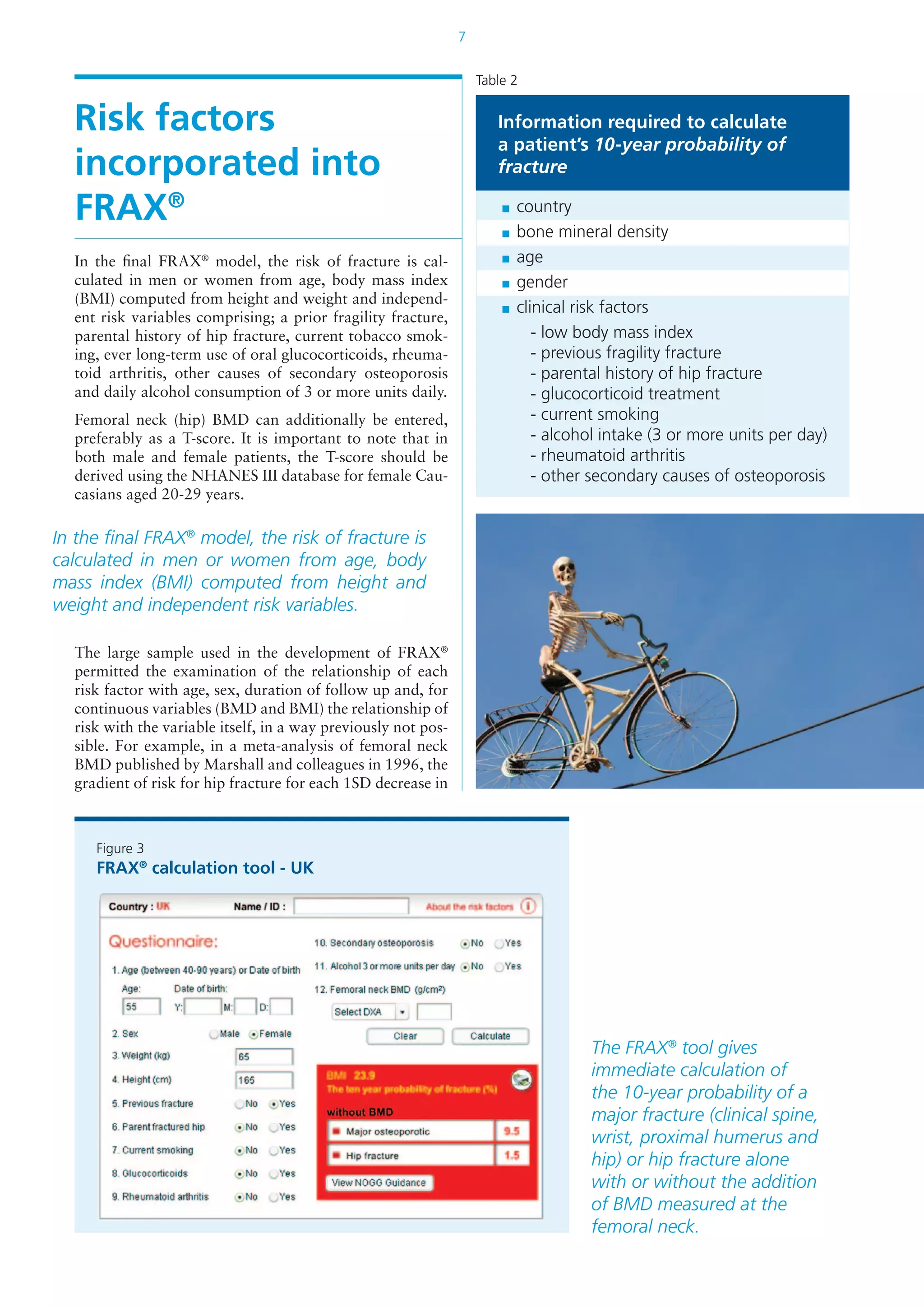 7
Risk factors
incorporated into
FRAX®
In the final FRAX®
model, the risk of fracture is cal-
culated in men or women from age, body mass index
(BMI) computed from height and weight and independ-
ent risk variables comprising; a prior fragility fracture,
parental history of hip fracture, current tobacco smok-
ing, ever long-term use of oral glucocorticoids, rheuma-
toid arthritis, other causes of secondary osteoporosis
and daily alcohol consumption of 3 or more units daily.
Femoral neck (hip) BMD can additionally be entered,
preferably as a T-score. It is important to note that in
both male and female patients, the T-score should be
derived using the NHANES III database for female Cau-
casians aged 20-29 years.
The large sample used in the development of FRAX®
permitted the examination of the relationship of each
risk factor with age, sex, duration of follow up and, for
continuous variables (BMD and BMI) the relationship of
risk with the variable itself, in a way previously not pos-
sible. For example, in a meta-analysis of femoral neck
BMD published by Marshall and colleagues in 1996, the
gradient of risk for hip fracture for each 1SD decrease in
In the final FRAX®
model, the risk of fracture is
calculated in men or women from age, body
mass index (BMI) computed from height and
weight and independent risk variables.
Figure 3
FRAX®
calculation tool - UK
The FRAX®
tool gives
immediate calculation of
the 10-year probability of a
major fracture (clinical spine,
wrist, proximal humerus and
hip) or hip fracture alone
with or without the addition
of BMD measured at the
femoral neck.
Information required to calculate
a patient’s 10-year probability of
fracture
	 country
	 bone mineral density
	 age
	 gender
	 clinical risk factors
		 - low body mass index
		 - previous fragility fracture
		 - parental history of hip fracture
		 - glucocorticoid treatment
		 - current smoking
		 - alcohol intake (3 or more units per day)
		 - rheumatoid arthritis
		 - other secondary causes of osteoporosis
Table 2
 