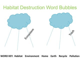 Habitat Destruction Word BubblesTrashEcosystemWORD KEY: Habitat Environment Home Earth Recycle Pollution