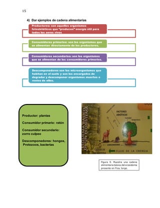 15
4) Dar ejemplos de cadena alimentarias
Productor: plantas
Consumidor primario: ratón
Consumidor secundario:
zorro culpeo
Descomponedores: hongos,
Protozoos, bacterias
Productores: son aquellos organismos
fotosintéticos que “producen” energía útil para
todos los seres vivos
Consumidores primarios: son los organismos que
se alimentan directamente de los productores.
Consumidores secundarios: son los organismos
que se alimentan de los consumidores primarios.
Descomponedores son los microorganismos que
habitan en el suelo y son los encargados de
degradar y descomponer organismos muertos o
restos de ellos.
Figura 9. Muestra una cadena
alimentaria básica del ecosistema
presente en Fray Jorge.
 