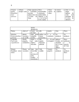 9
Arrayan
macho
Rhaphitha
mnus
spinosus
Arbusto
siempre verde
Hojas opuestas
o verticiladas,
pecíolos
pubescentes de
1,5-2mm de
largo
Flores
hermafroditas
cortamente
pedunculadas,
solitarias o de
a 2 en la base
de las espinas
Hasta 4
metros de
altura
ramoso y
espinoso
fruto es una
drupa
globosa de
color azul
profundo de
1-1,2cm de
diámetro
SOTO
BOSQUES
Plantas ¿Qué es? Forma de
las hojas
tallo tamaño fruto Flores
Helechos
Hymenophyllum
peltatum
plantas
vasculares
sin semilla
hojas grandes
megafilos o
frondes
epífitas con
rizoma
protostélico
5 a 15
centímetro
No
producen
No
producen
Congonilla
Peperomia
coquimbensis
Hierba
pequeña,
estolonífera
Hojas 3 - 5
por nudo,
elíptico-
obovadas
tallo
angular,
finamente
pubérulo
6 - 20 mm
de longitud.
globoso-
ovoídeo, de
alrededor
de 0, 6 mm,
ápice
oblicuo
flores
pedúnculo
s la
mayoría
de 5 mm
Musgos
Bryophyta sensu
stricto
Plantas no
vasculares
hojas bien
desarrollad
as y
provistas de
pelos
rizoides o
absorbentes
Tallo
caulidio
Tamaño
pequeño
No
producen
No
producen
flores
 