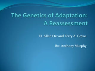 The Genetics of Adaptation: A Reassessment H. Allen Orr and Terry A. Coyne  B11: Anthony Murphy 