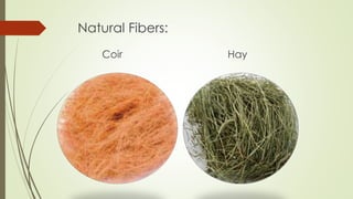 Natural Fibers: 
Coir Hay 
 