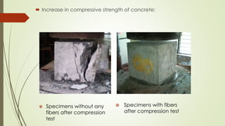  Increase in compressive strength of concrete: 
 Specimens without any 
fibers after compression 
test 
 Specimens with fibers 
after compression test 
 