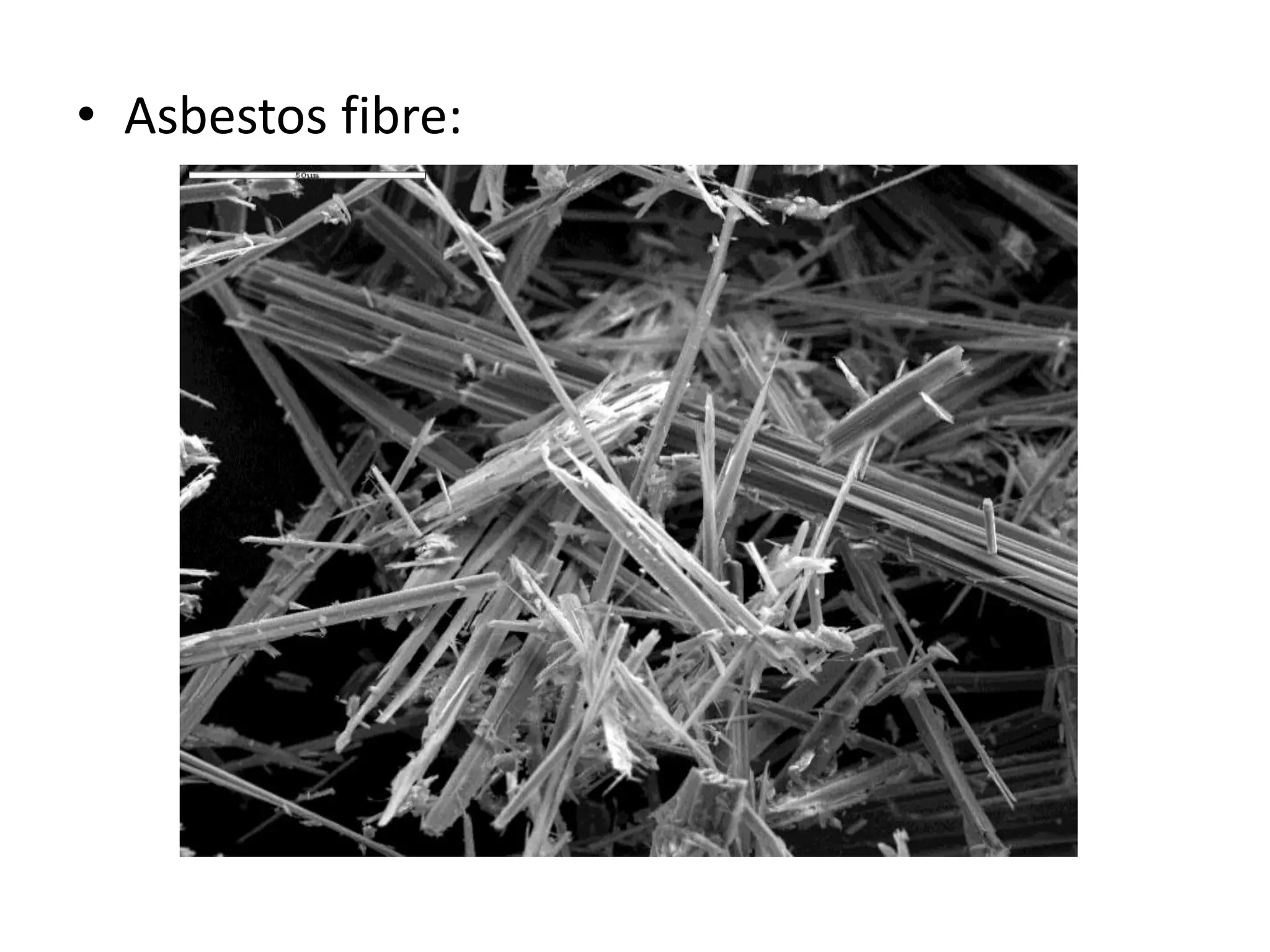 • Asbestos fibre: 
 