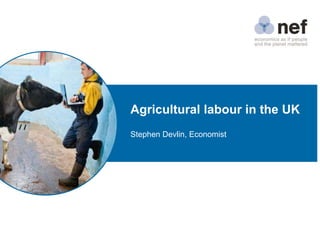 Agricultural labour in the UK
Stephen Devlin, Economist
 